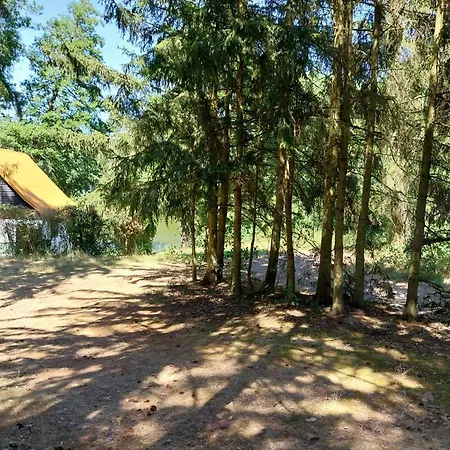 V Lese Olbramkostel
